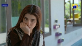 Badzaat - Episode 36 - 7th Jul 2022